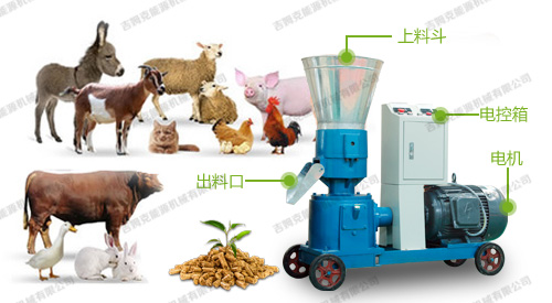 dongwukelijii dongwukelijii