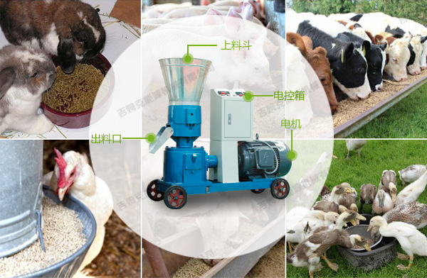 jiaqinkelijiii jiaqinkelijiii